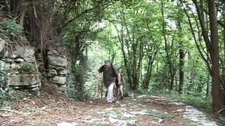 Παλιά Γουρούνια - Άγρια περιπέτεια στο δάσος με έναν ώριμο ηγέτη και έναν άτακτο έφηβο