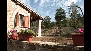 Μελαχρινή σκύλα θέλει μια παχιά ουρά σε κάθε τρύπα